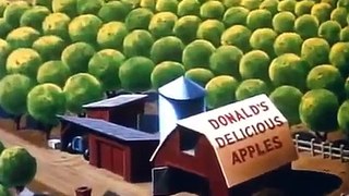Donald Duck   Applecore   High Quality version cartoon episodes