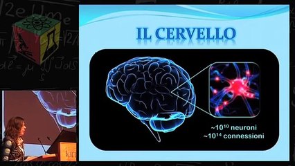 ELISA BENEDETTO: LA MATEMATICA PER IL NOSTRO CERVELLO (Finalista Premio GiovedìScienza)