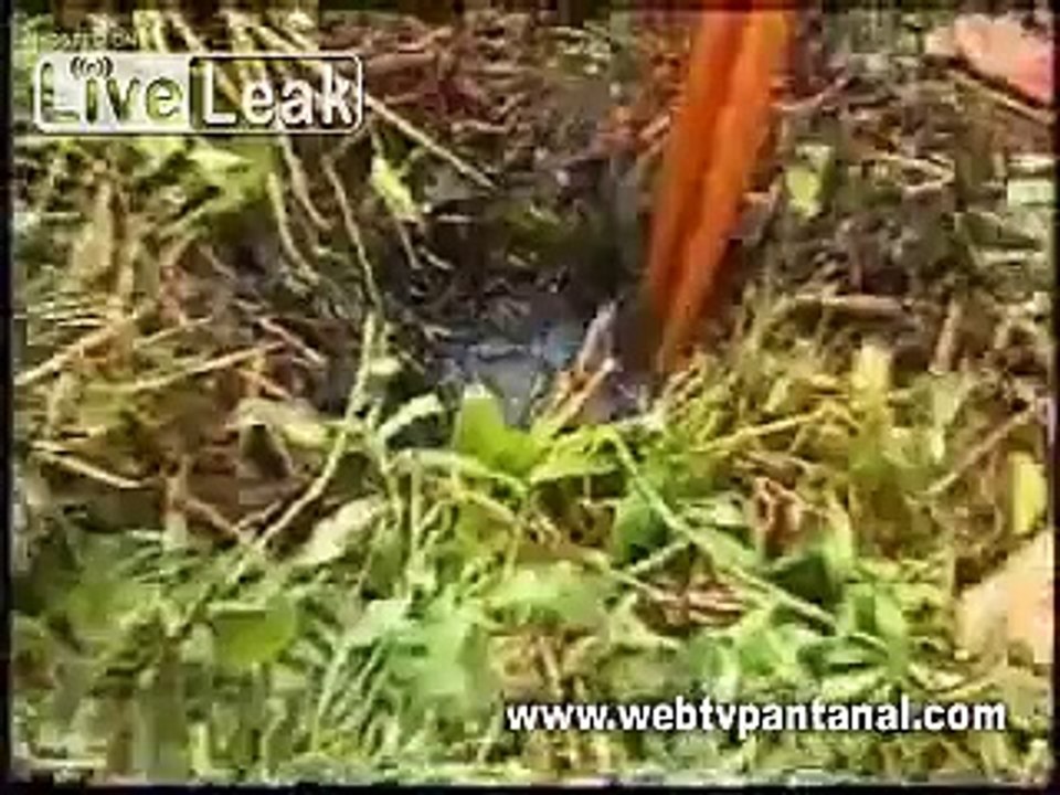 What is this Magic?
