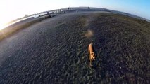 Dog chases drone across San Diego beach