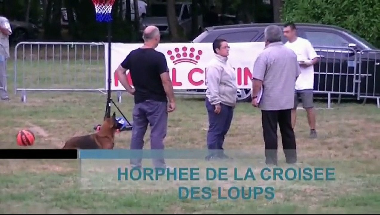 Horphée, conduite par Christelle Nomine, Détailleur 2015