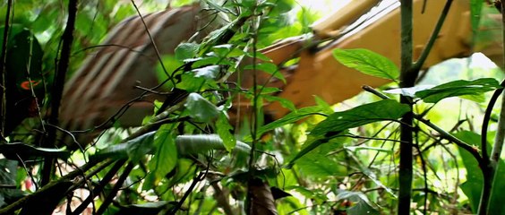 GREEN INFERNO - Bande annonce 2 VOST