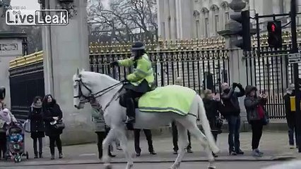 WTF? Naked Escape from Buckingham Palace Window.