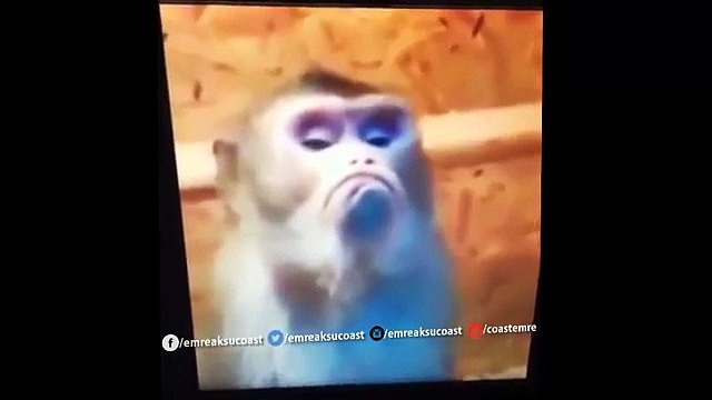 En Çok İzlenen Komik ve Yeni Türk Vineleri ✔ TEMMUZ 2015 (Gülün Ölmekten)