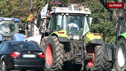 Colère agricole : "La grande distribution a tué le monde paysan"