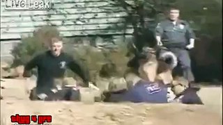 Crazy Ninja Fights Cops