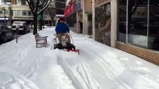 Md. Man Plows Snow on Motorized Toilet