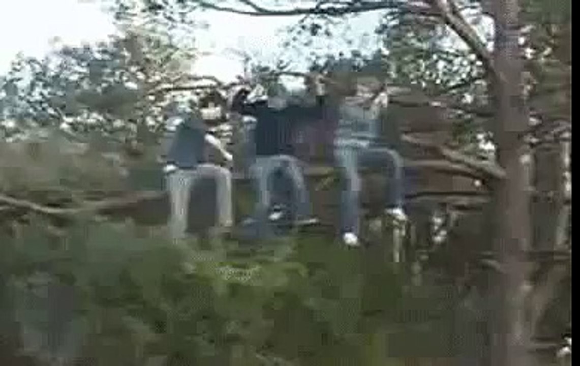 Fail On Three-3 Idiots