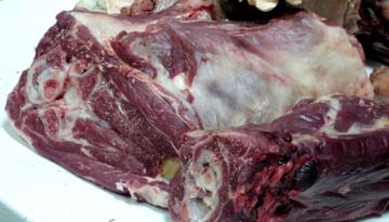 Meat