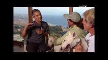EL ENCANTADOR DE PERROS