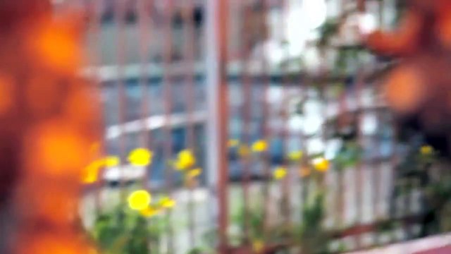 Lil B - Ryan Seacrest *MUSIC VIDEO* EPIC COOKING MUSIC!! OMG GIRLS UR GUNA LOVE IT!