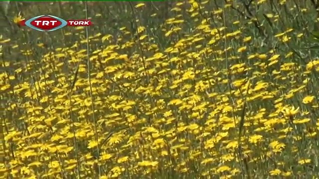 TRT Zor Yollar 89. Bölüm AKSEKİ GÖKTEPE YAYLASI İLVAT GÖLÜ