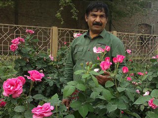 Aj Zindoon ma Phool Bantny ka din hai Poem by Dr Jawaz Jaffri