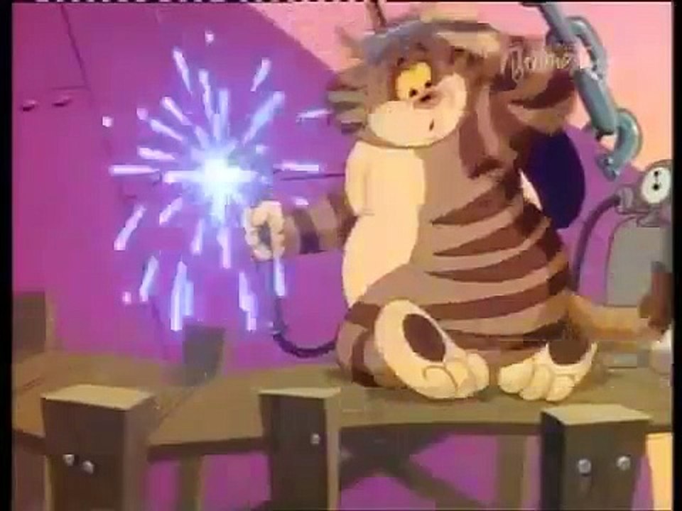 Tom & jerry Video