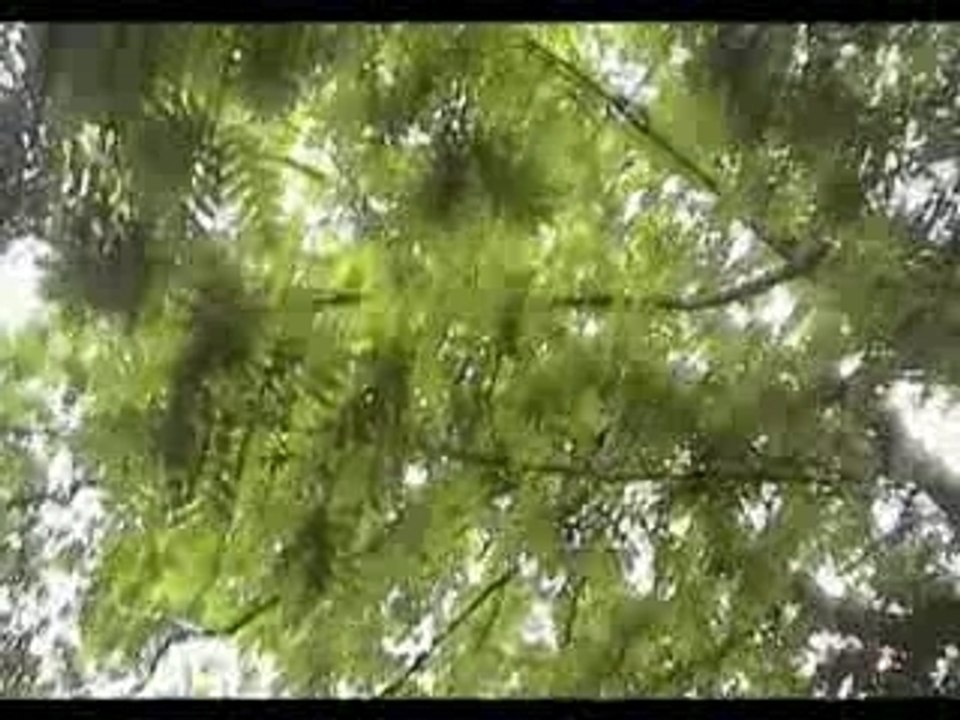 Hyper chondriac music