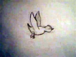 2D Bird Fly Cycle