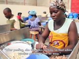 Raw Cashew Processing in Ivory Coast