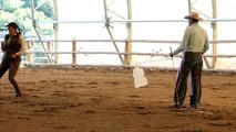 How to Fix Horse Pulling Away While Lunging - Tips from Pat Parelli