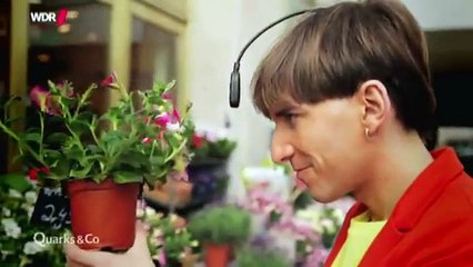 Mensch 2.0 - Wie wir zum Maschinenmenschen werden - WDR Quarks & Co 11.02.2014