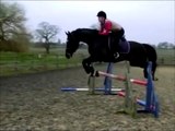 Horse Jumping in Slow Motion