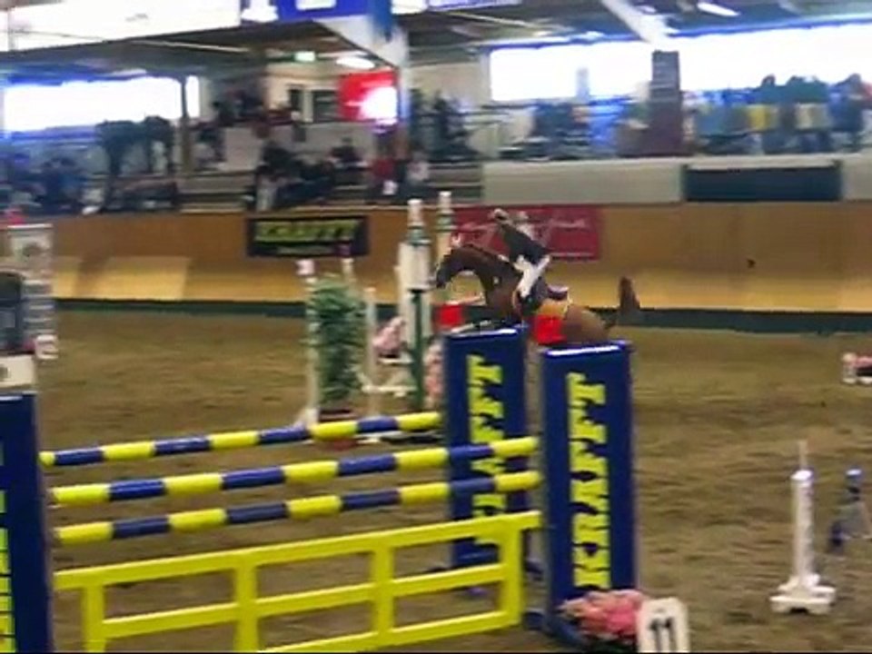 Ponny sm