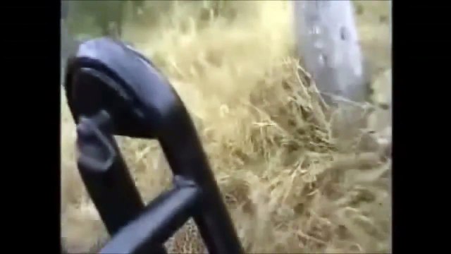 [ Wild Animal Planet ] Leopards vs Lions Full Documentary