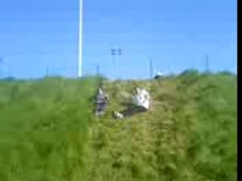Glissades dans l'herbe
