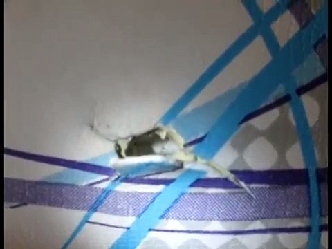 Loch reparieren Surfboard Surfbrett Anleitung repair Windsurfer Epoxidharz Glasfaser Mikroballoons