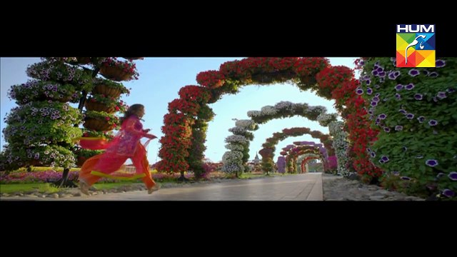 Bin Roye Promo Hum Films Presents a Momina Duraid Film