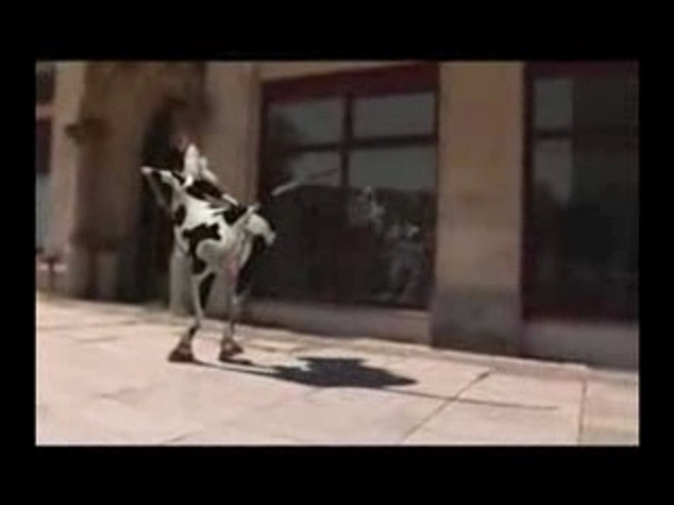 I like to meuh (vache folle)