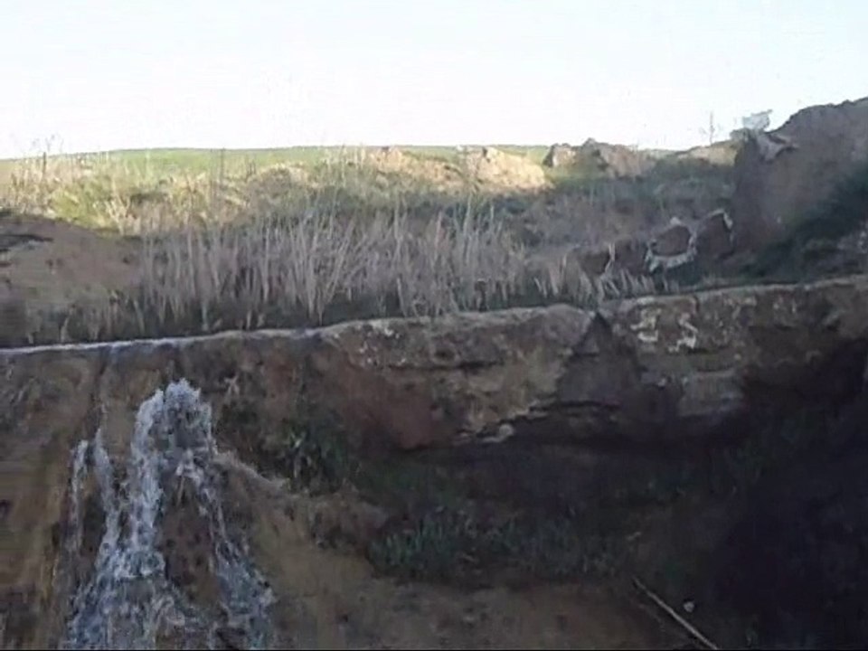 Eau,strates,roches et plantes.