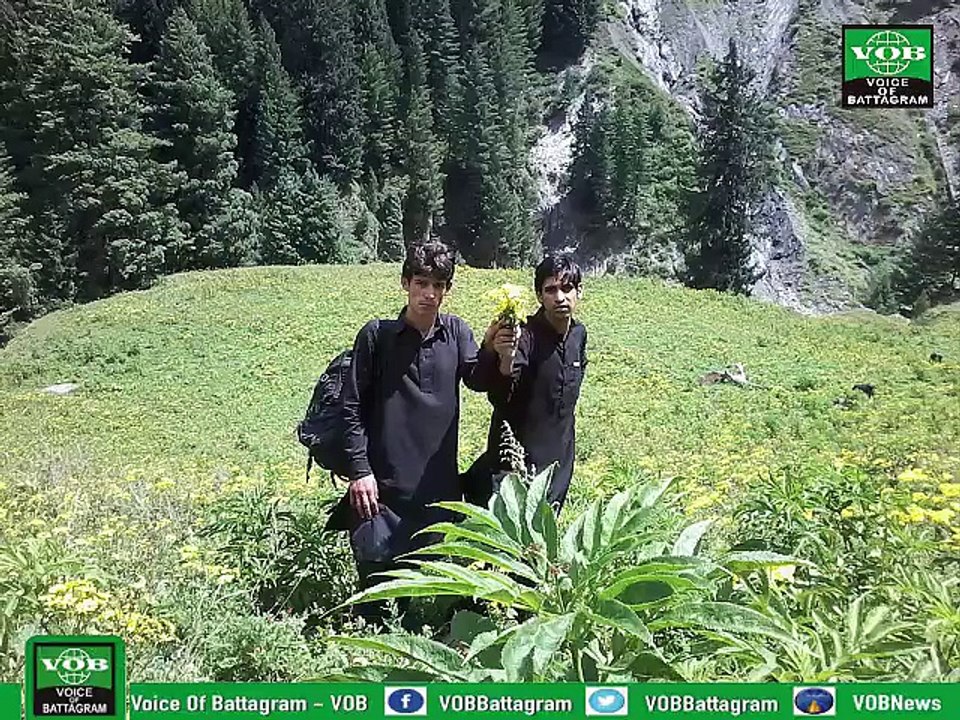 Tourism in Battagram, nature beauty of Chorr Valley, Battagram