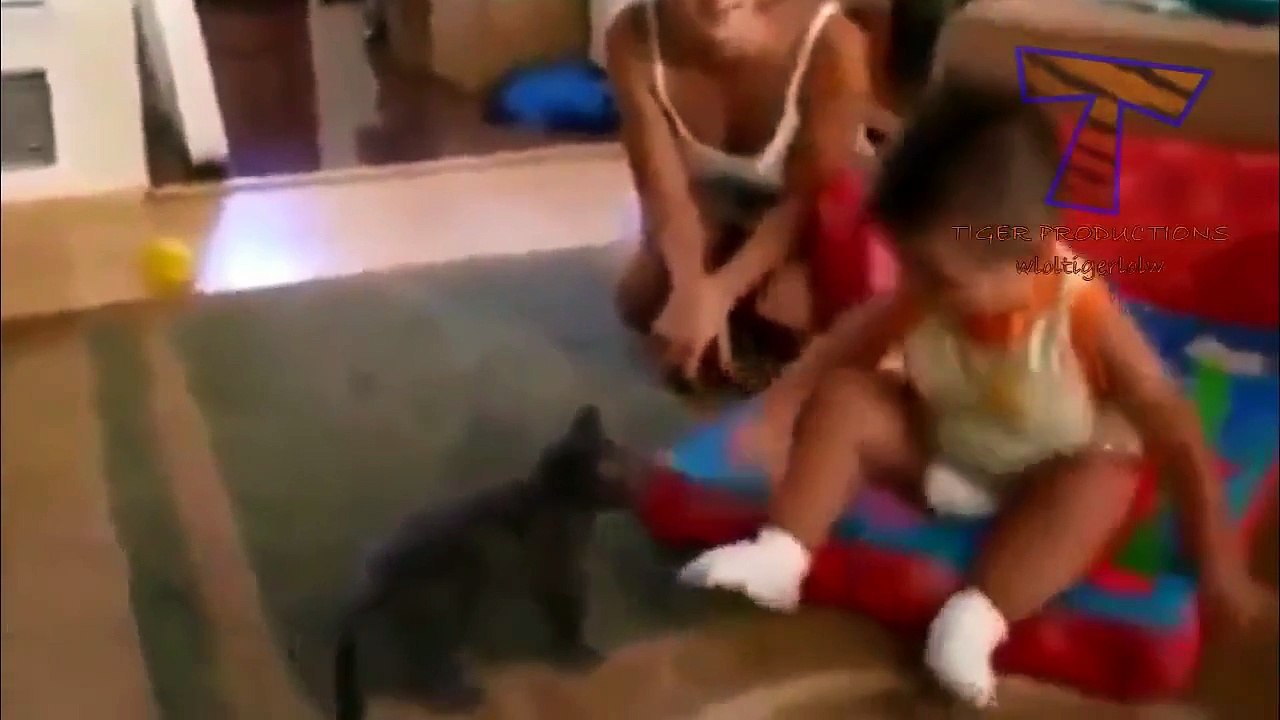 Смешные кошки Напрягают деток   Cute cat & baby compilation