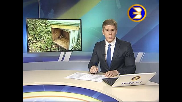 Медведи разбойники из Гафурийского района Башкирии