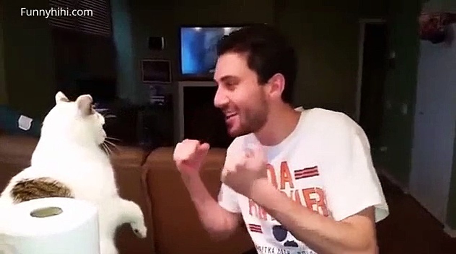funny cats funny cat videos 2015