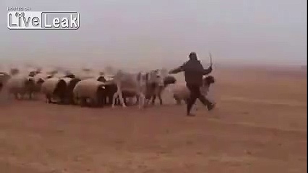 Jordanian Army Crossing syria Border to Fight ISIS