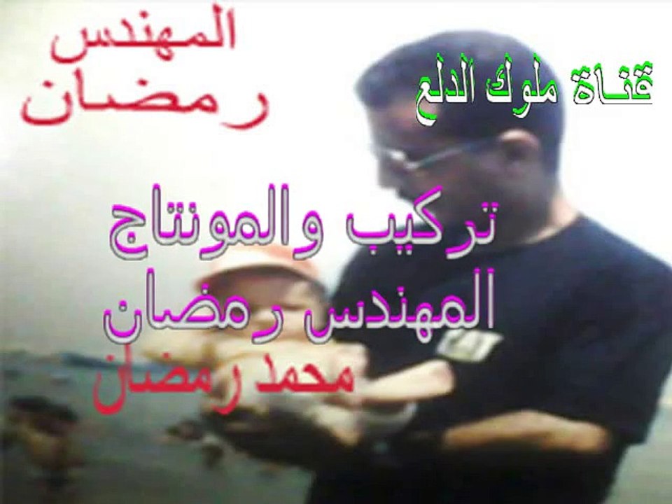 اغنيه طارق الشيخ - الفلوس من فيلم زان 2015