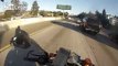 Motorcyclist tries to save dog that jumped out of a car on the highway