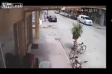 Fearless cat attacks dog and his master