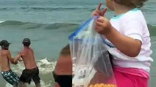 Bull Shark Reeled in on North Carolina Beach