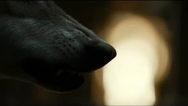 두 밤워ᴗᴗ청룡노포건마 ᴗ(강남건마 )ᴗ부천건마 일정으로는