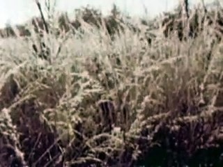 BATTLE HYMN OF THE REPUBLIC - Johnny Cash