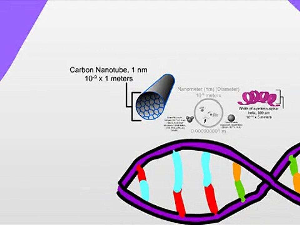 The Scale of The Universe & More [Set to "Lateralus"]