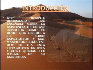 EL MEJOR DOCUMENTAL DEL DODO (EXTINTO)..