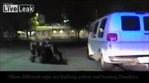Police Tase, Pepper Spray, and Beat Motorist - Then Charge Him With Assault