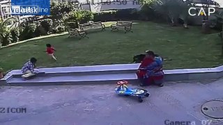 dog attacks toddler. (hopefully not a repost)