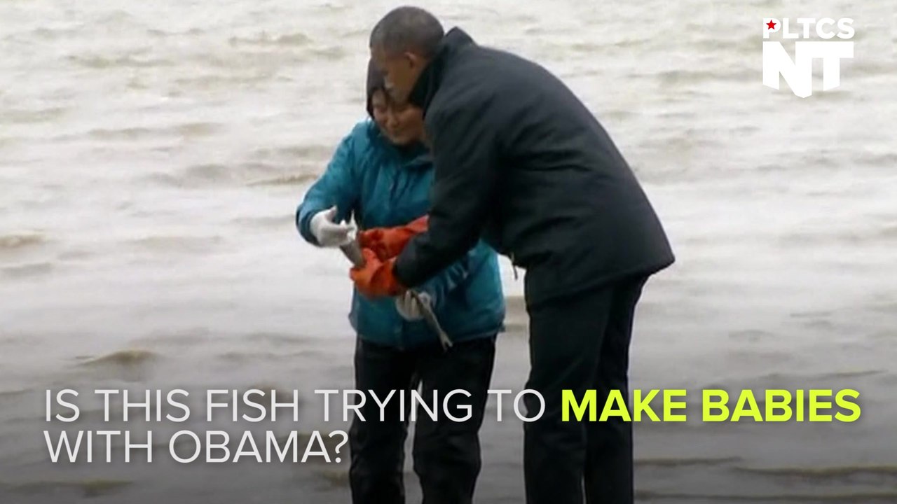 Fish Spawns On President Obama