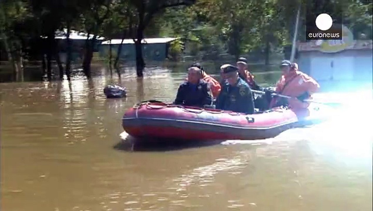 Russland: Zootiere müssen nach Überschwemmung gerettet werden