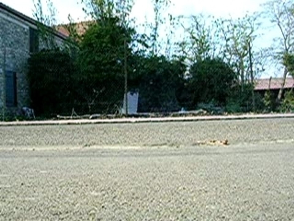Ollie en roulant