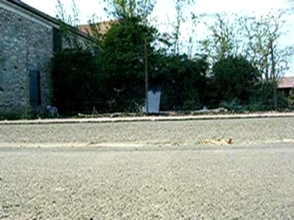 Ollie en roulant
